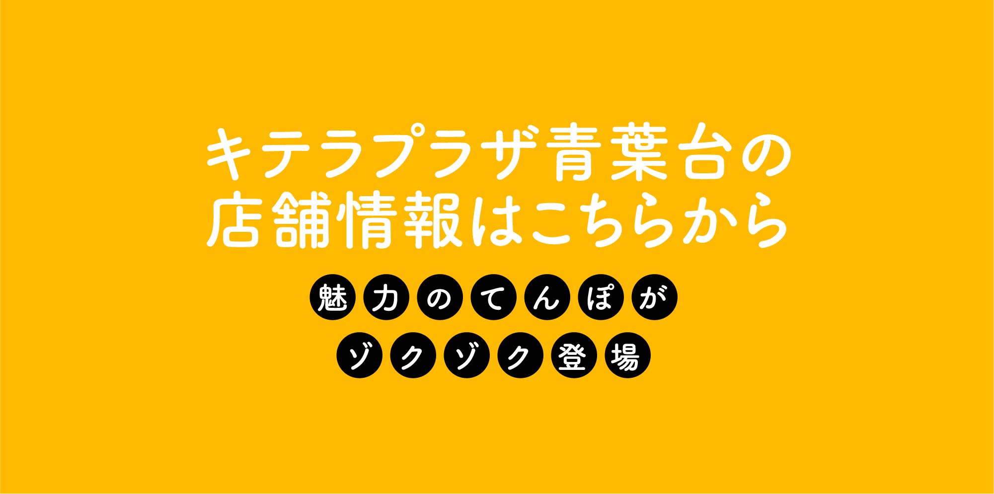 キテラプラザ青葉台